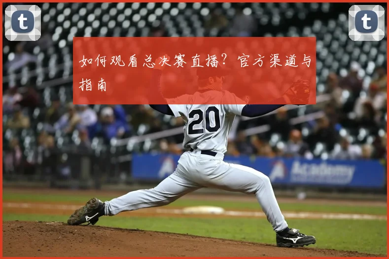 如何观看总决赛直播?官方渠道与指南