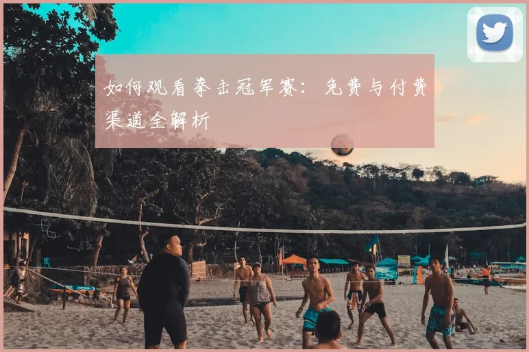 如何观看拳击冠军赛：免费与付费渠道全解析