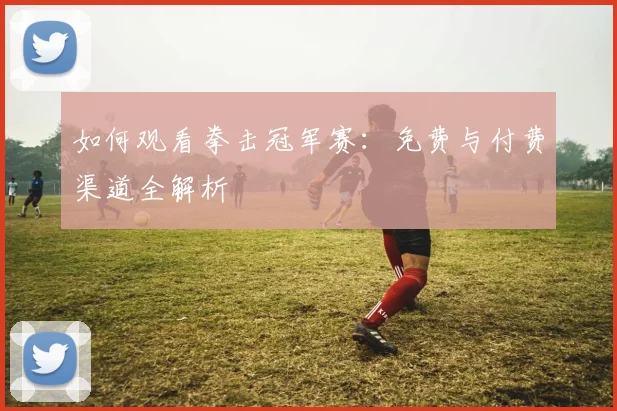 如何观看拳击冠军赛:免费与付费渠道全解析