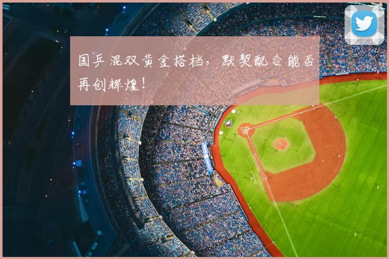 国乒混双黄金搭档，默契配合能否再创辉煌！