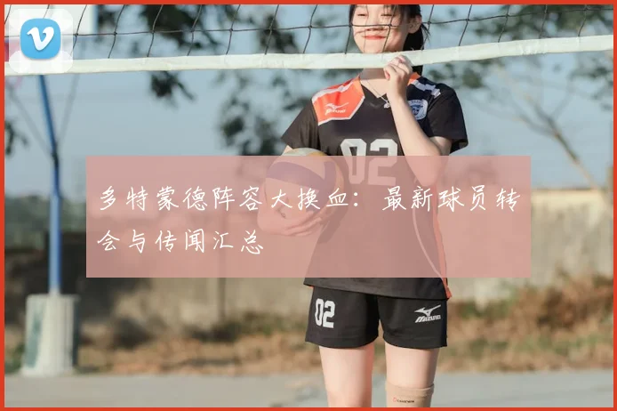 多特蒙德阵容大换血：最新球员转会与传闻汇总
